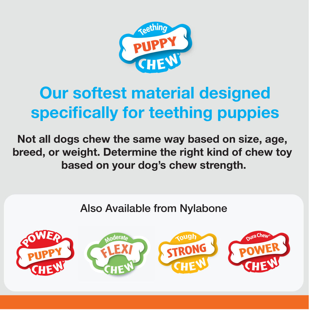 Nylabone Puppy Chew Toy Teething Bone
