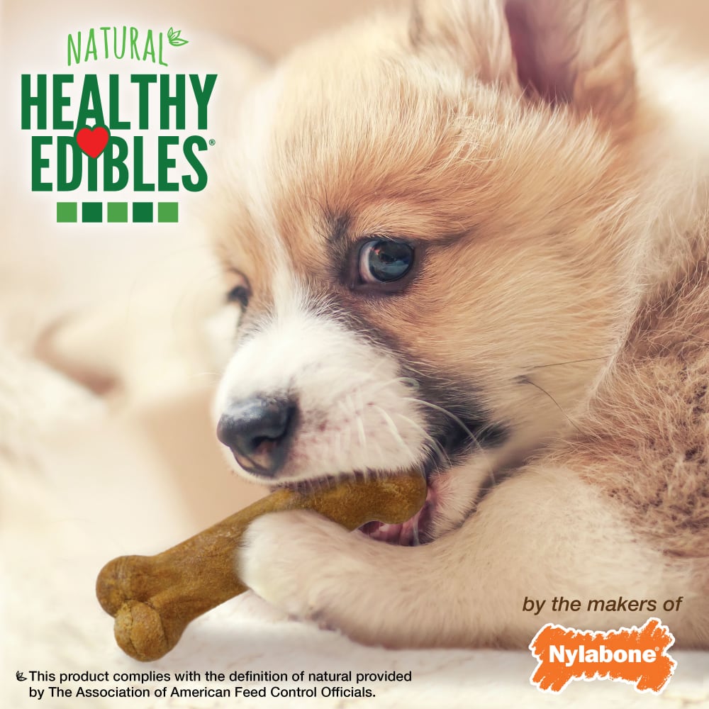 Nylabone Healthy Edibles All-Natural Long Lasting Puppy Chew Treats Variety Pack