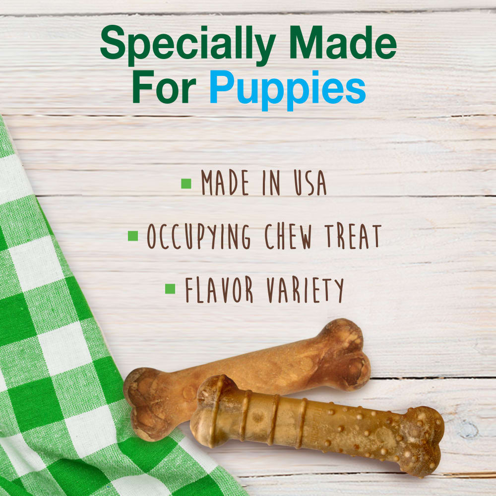 Nylabone Healthy Edibles All-Natural Long Lasting Puppy Chew Treats Variety Pack