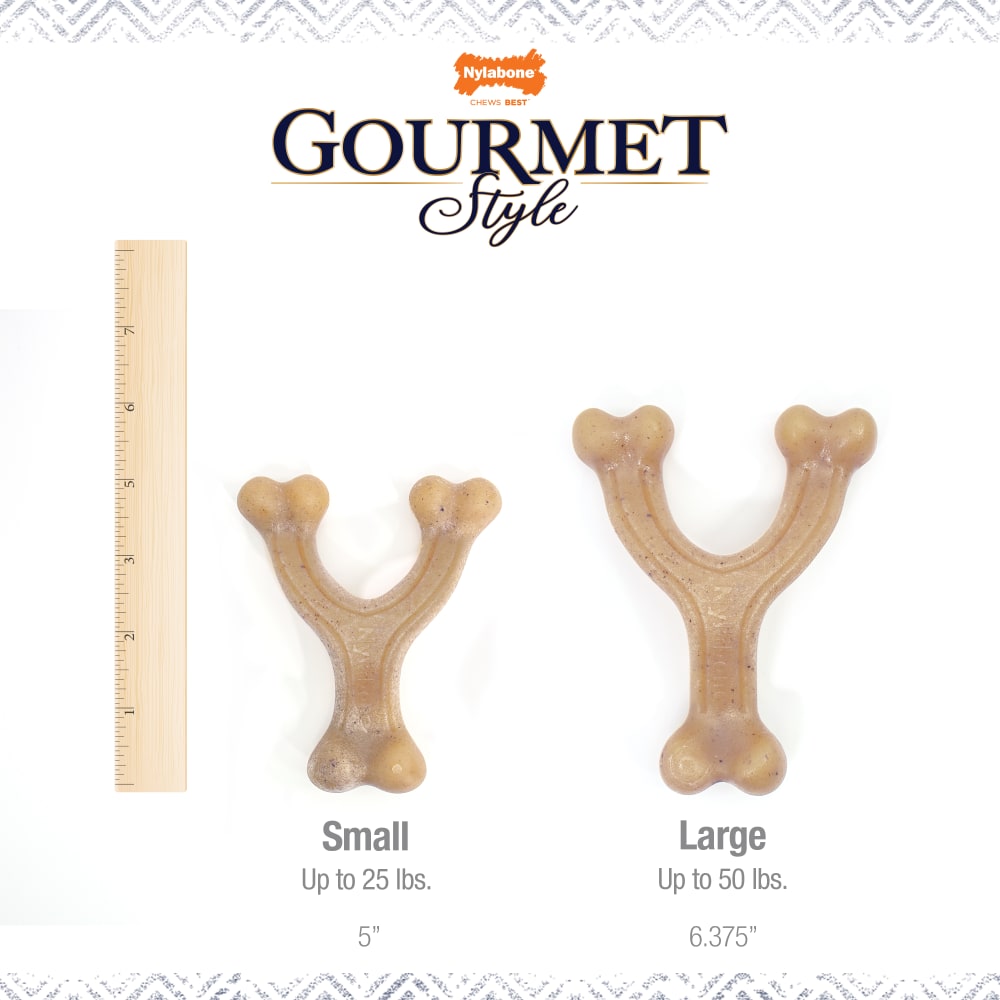 Nylabone Dog Chew Toy Strong Chew Gourmet Style Wishbone - Bacon