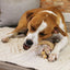 Nylabone Dog Chew Toy Strong Chew Gourmet Style Wishbone - Bacon