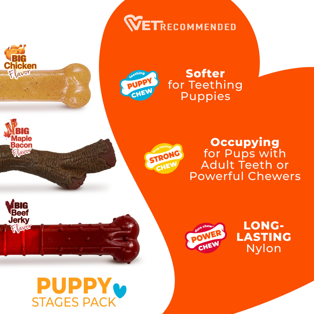 Nylabone Puppy Chew Triple Stages Chew Toy Pack