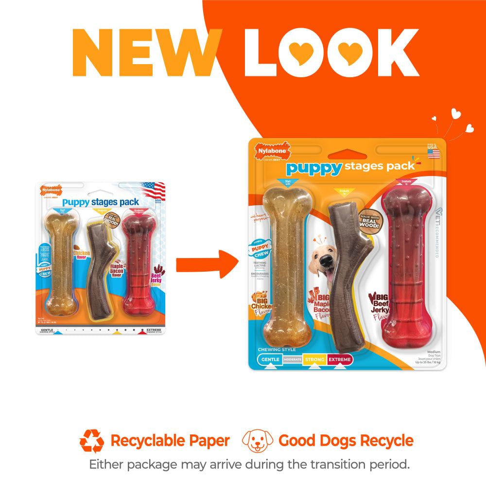 Nylabone Puppy Chew Triple Stages Chew Toy Pack