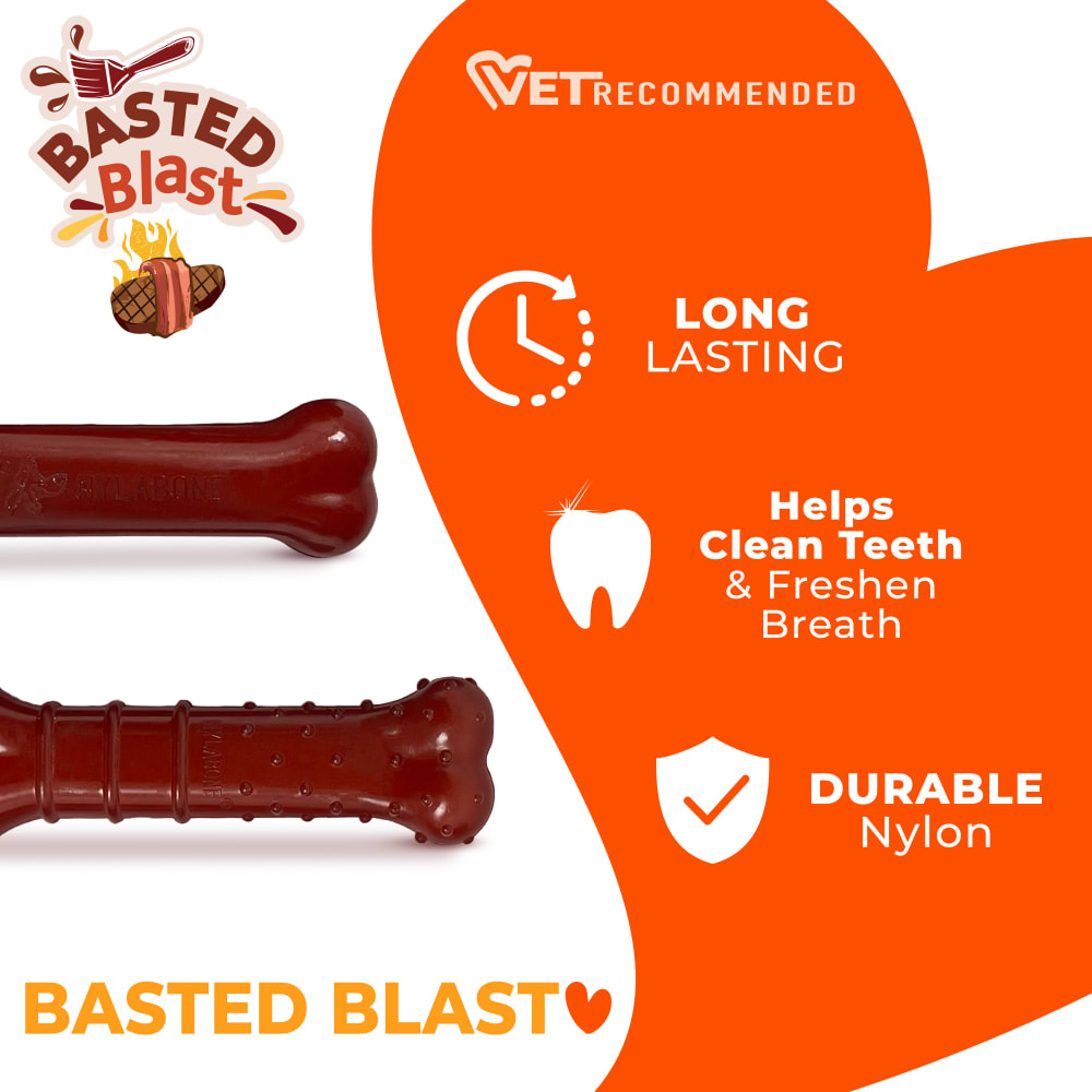Nylabone Dog Chew Toy Power Chew Basted Blast Original & Textured Bone