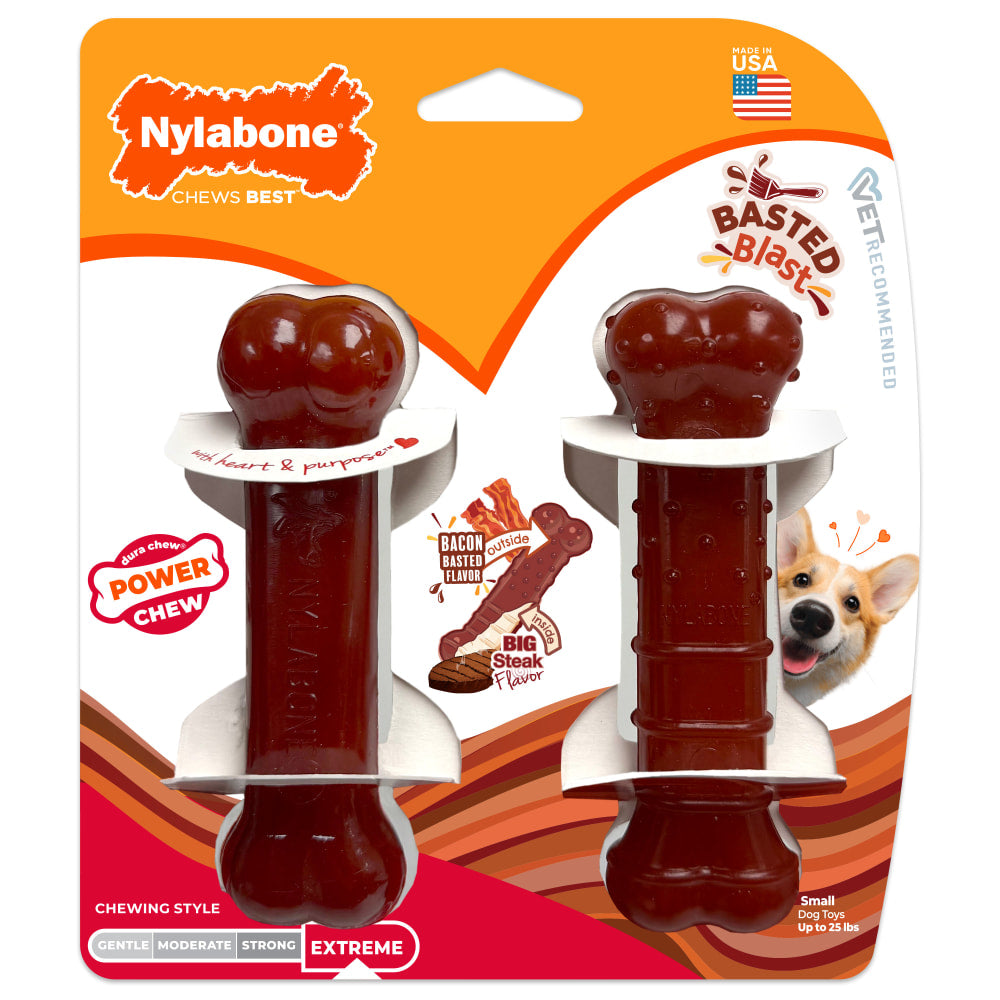 Nylabone Dog Chew Toy Power Chew Basted Blast Original & Textured Bone