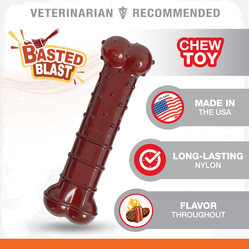 Nylabone Dog Chew Toy Power Chew Basted Blast Chew Textured Bone