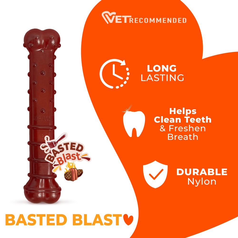 Nylabone Dog Chew Toy Power Chew Basted Blast Chew Textured Bone