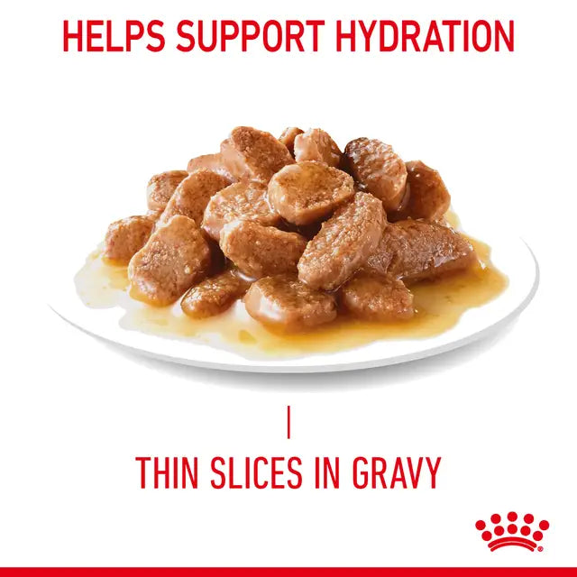 ROYAL CANIN Digestive Care Gravy Adult Wet Cat Food 85g x 12