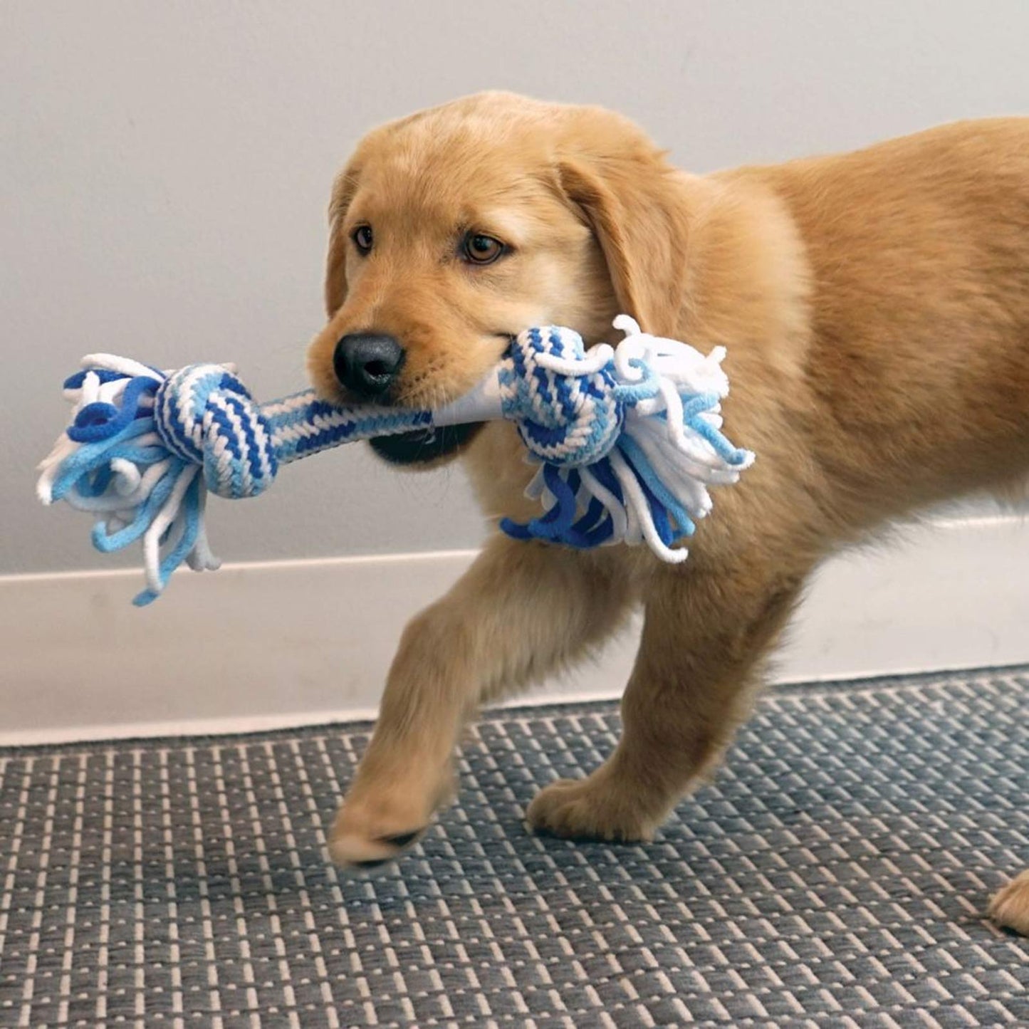 KONG Dog Toy Puppy Rope Stick Assorted Color Medium