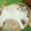 Camily Fluffy Cat Bed