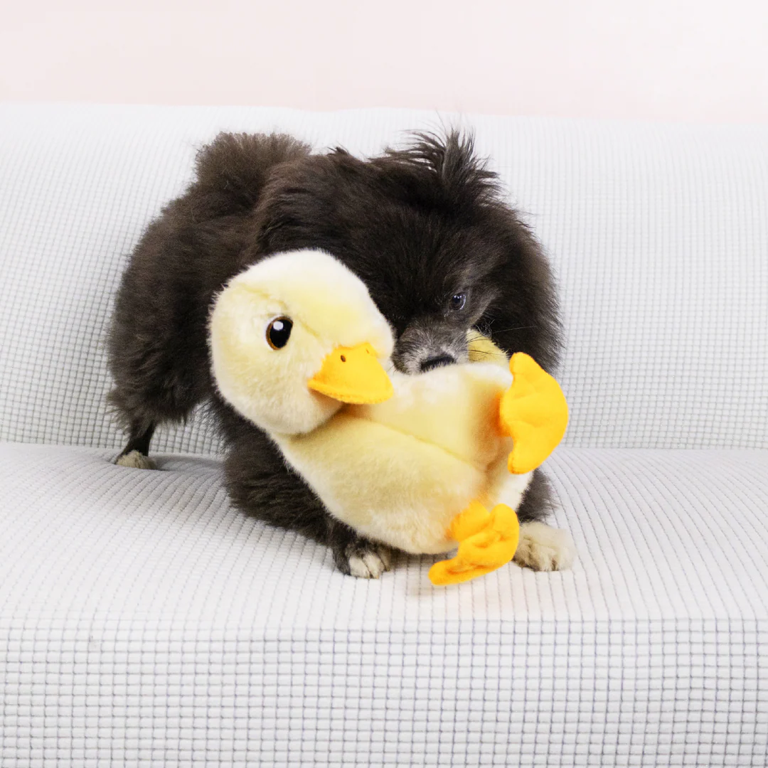 KONG Dog Toy Toughz Duck Medium