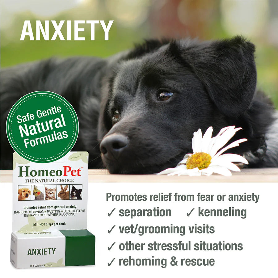 HomeoPet Anxiety Dog Drops 15ml