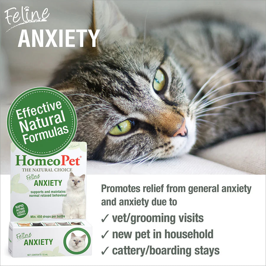 HomeoPet Feline Anxiety Cat Drops 15ml