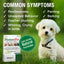 HomeoPet Anxiety Dog Drops 15ml