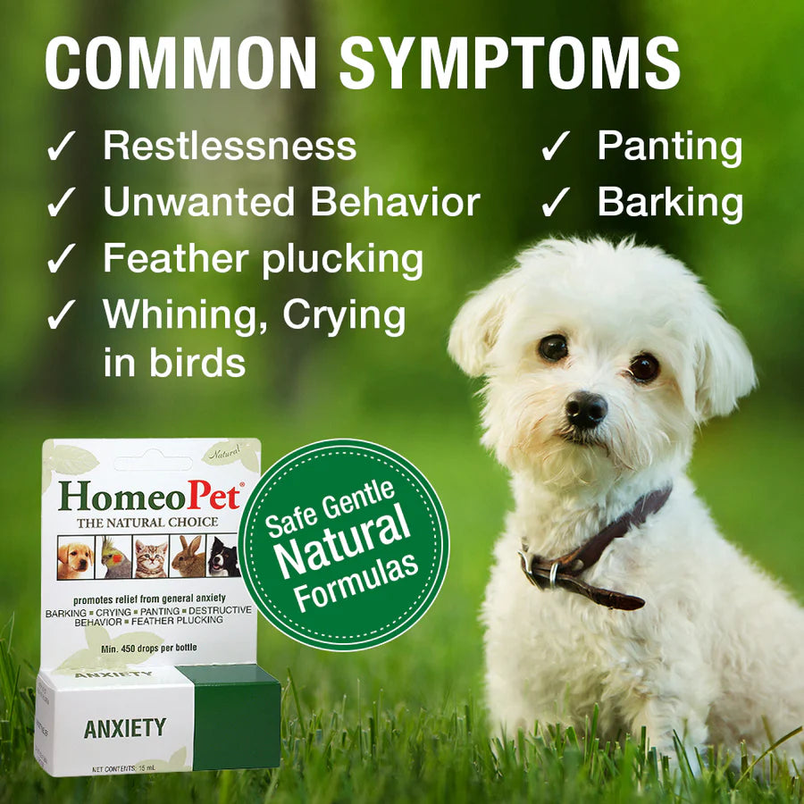 HomeoPet Anxiety Dog Drops 15ml