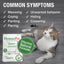 HomeoPet Feline Anxiety Cat Drops 15ml