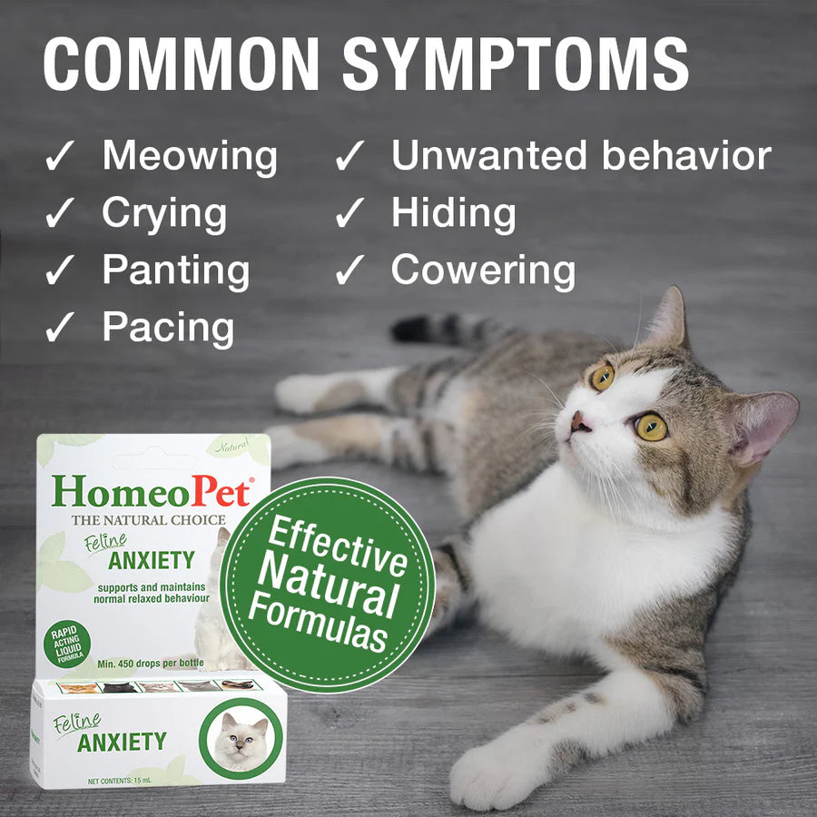 HomeoPet Feline Anxiety Cat Drops 15ml