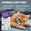 HomeoPet Feline Digestive Ease Cat Drops 15ml
