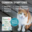 HomeoPet Feline Furball Cat Drops 15ml