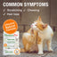 HomeoPet Feline Skin Ease Cat Drops 15ml