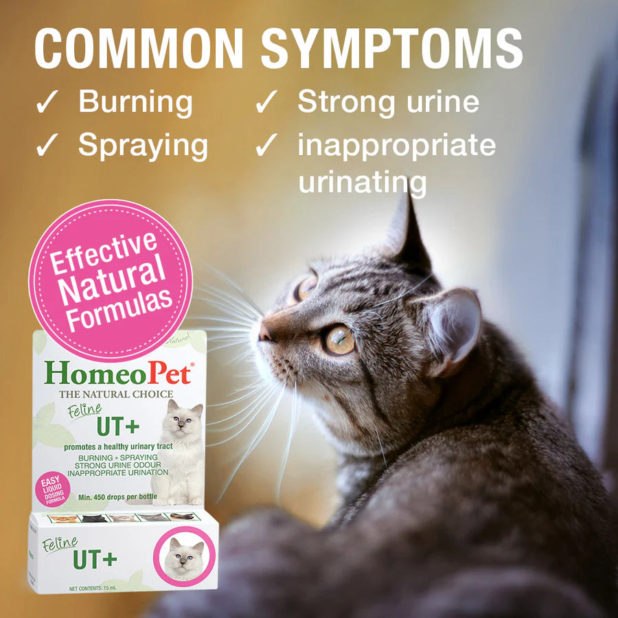 HomeoPet Feline UT+ Cat Drops 15ml