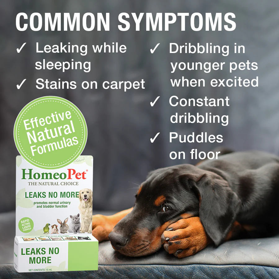 HomeoPet Leaks No More Drops 15ml
