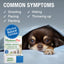 HomeoPet Travel Anxiety Drops 15ml
