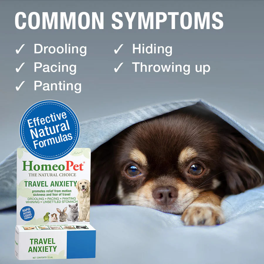 HomeoPet Travel Anxiety Drops 15ml