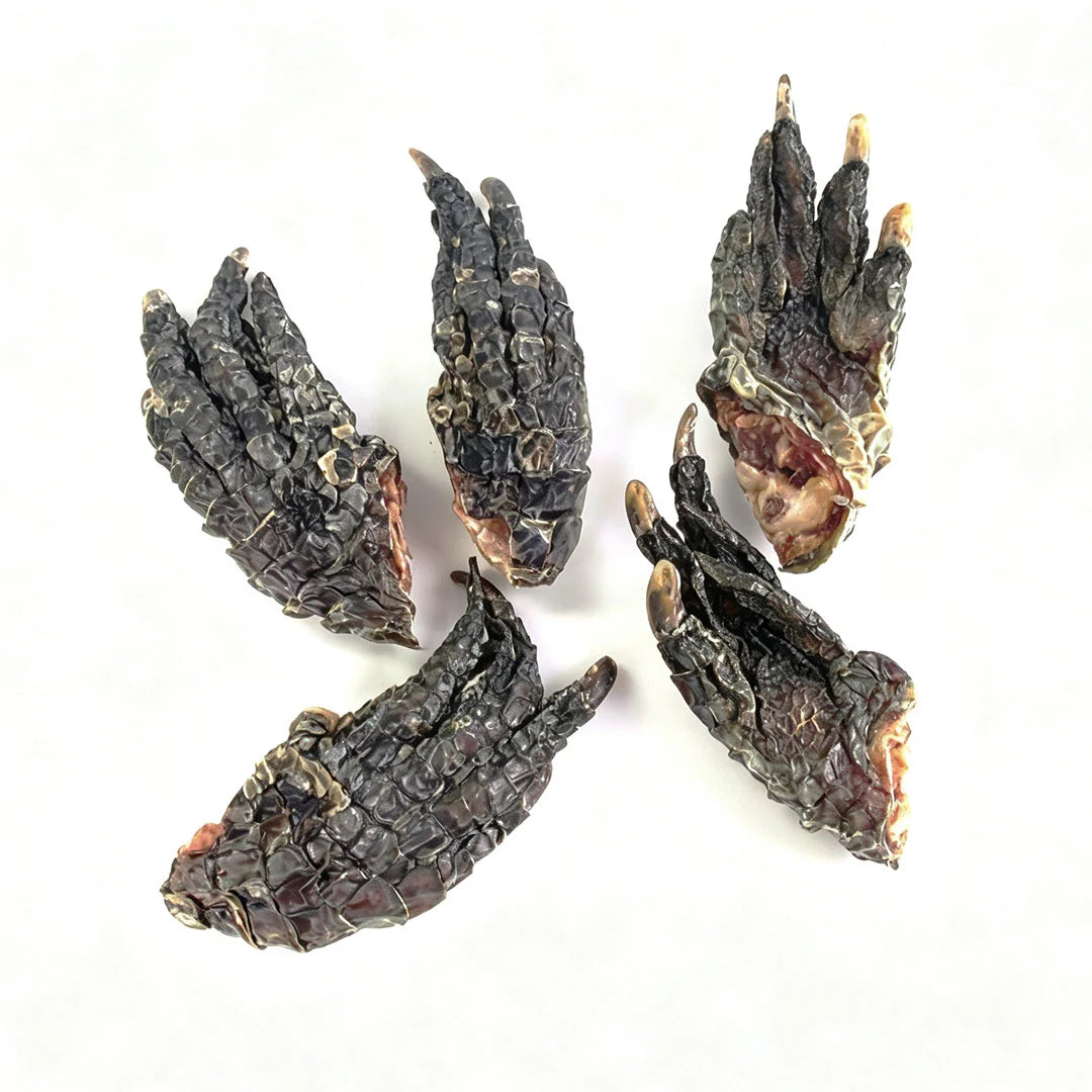 Cubee Chew Dog Treats Air-Dried Middy Crocodile Feet 5pcs