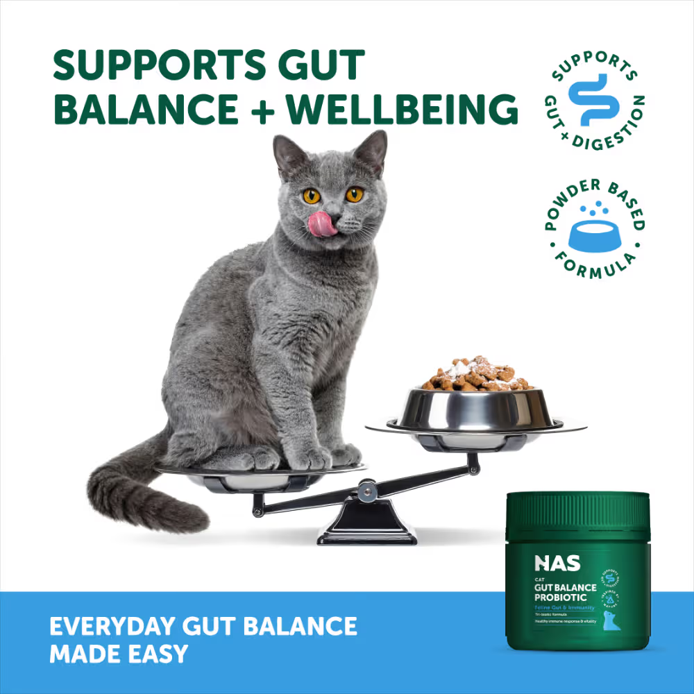 [BBD Nov/2026] NAS Natural Animal Solutions - Gut Balance Probiotic – Feline 80g