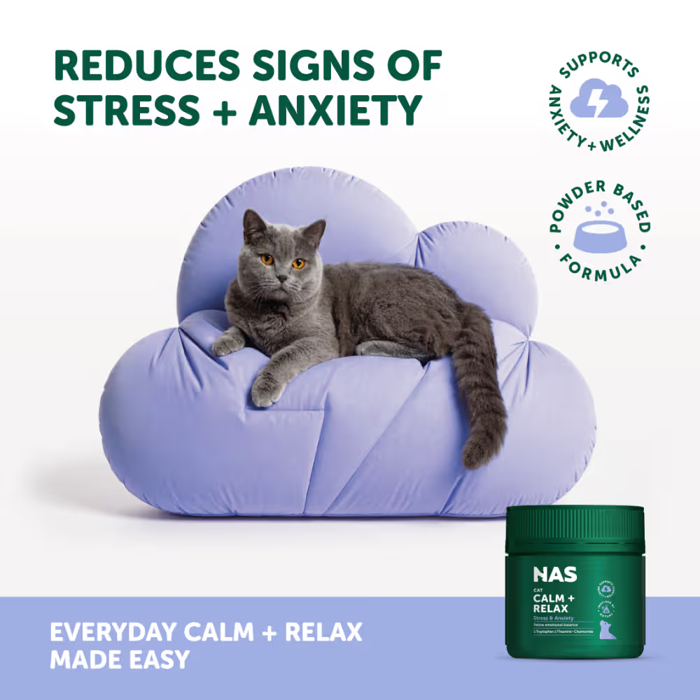 NAS Natural Animal Solutions - Calm & Relax Feline 80g