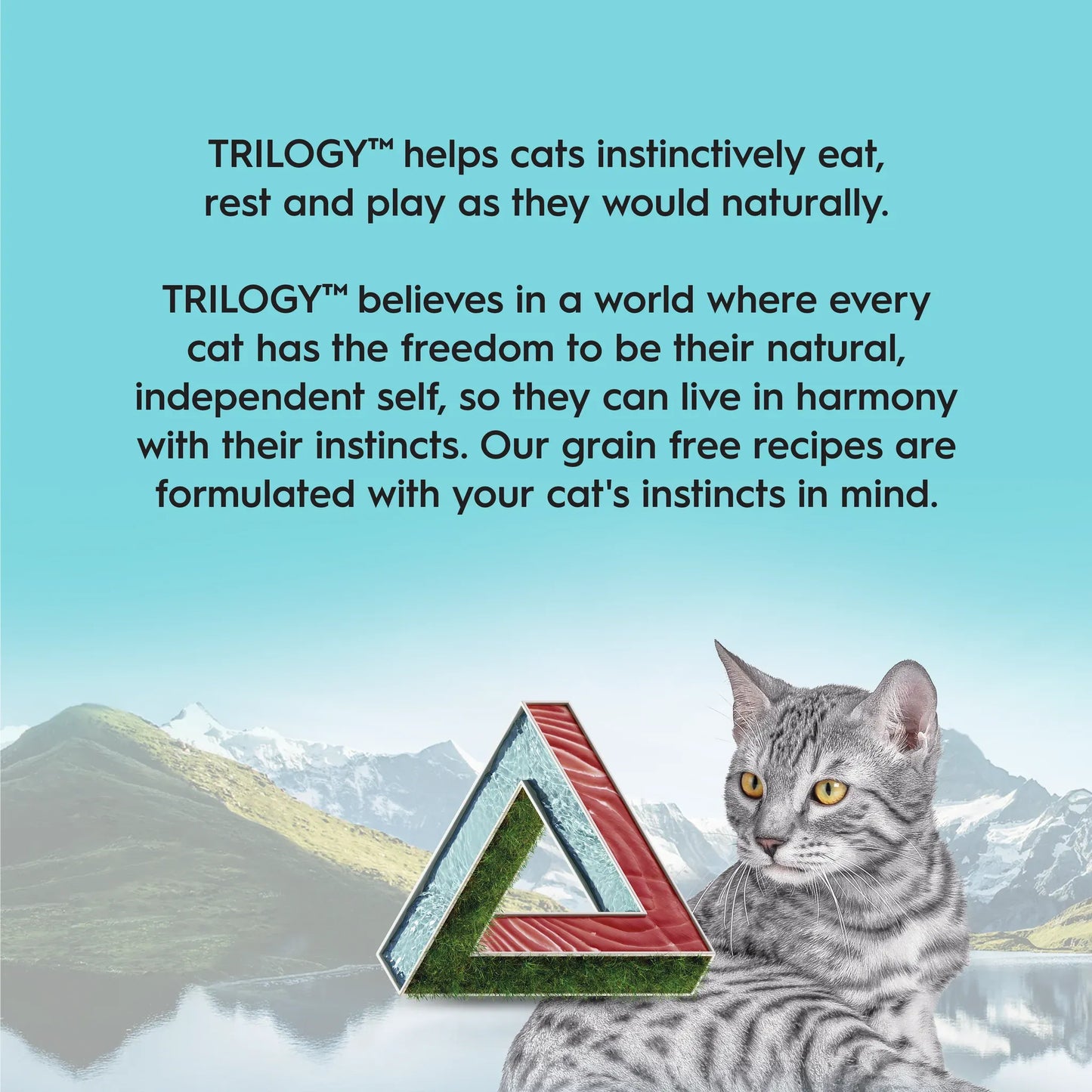 TRILOGY™ KITTEN Cat Wet Food - WILD CAUGHT TUNA IN BONE BROTH