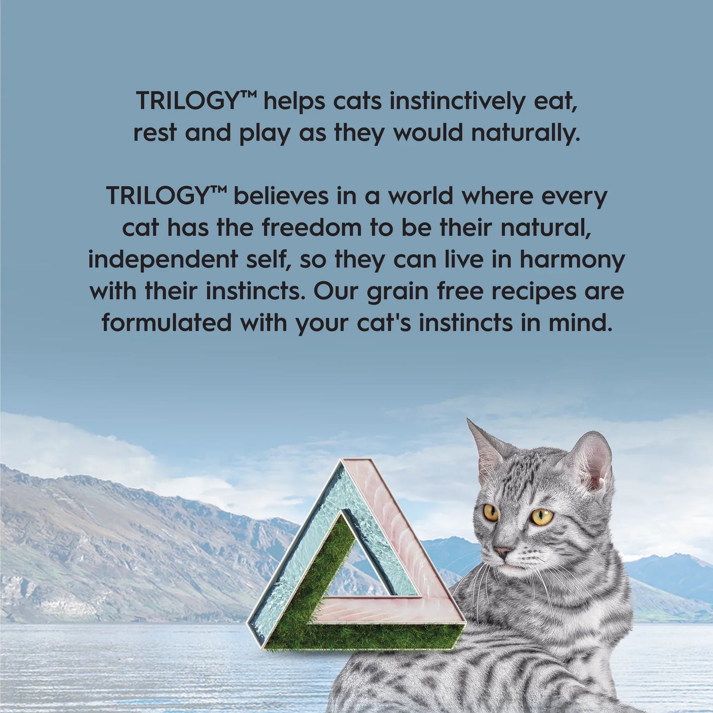 TRILOGY™ Adult Cat Wet Food - WILD CAUGHT MACKEREL IN BONE BROTH