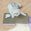 NIAN'GAO Book Cat Scratcher