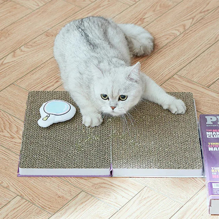 NIAN'GAO Book Cat Scratcher