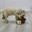 KONG Layerz Hedgehog Forage Dog Toy