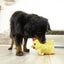KONG Layerz Hen Forage Dog Toy