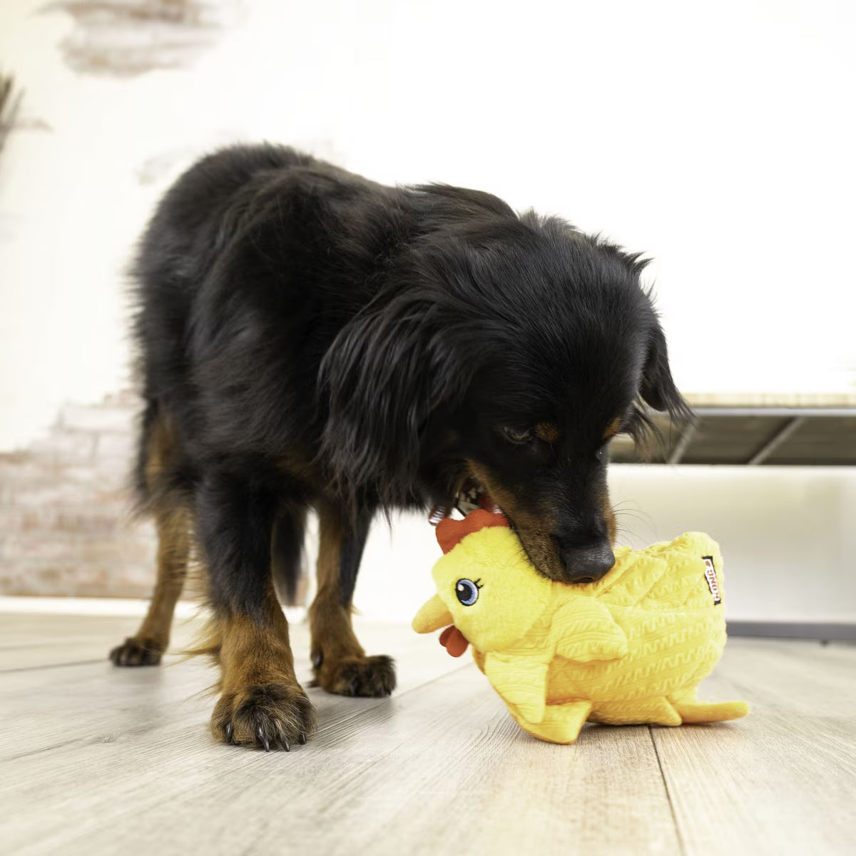 KONG Layerz Hen Forage Dog Toy