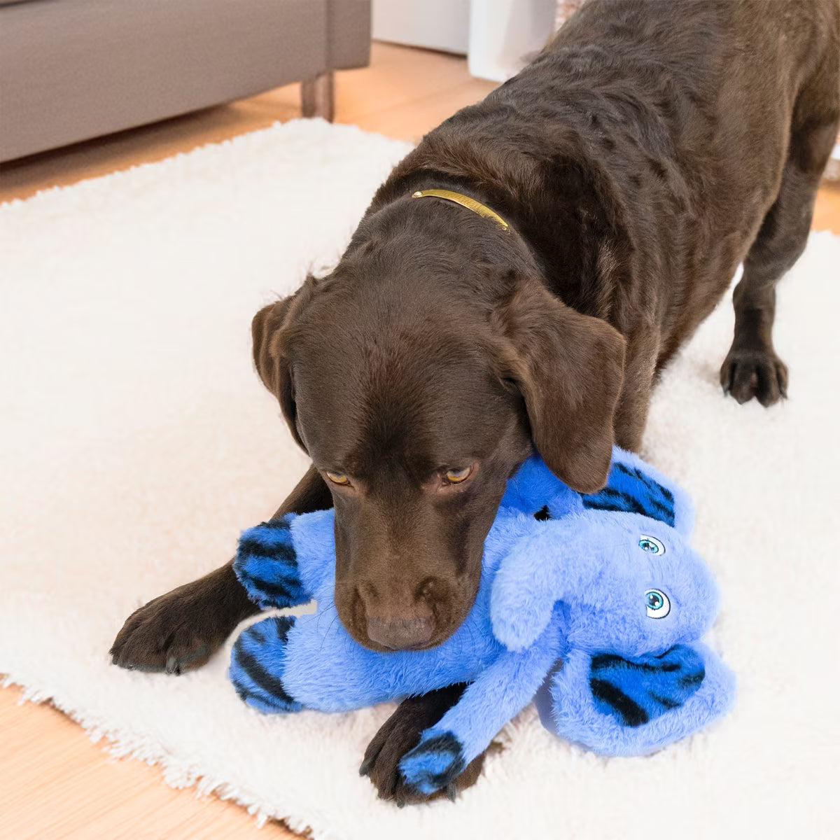 KONG Dog Toy Jungle Jamz Elephant