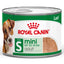 ROYAL CANIN Mini Adult Loaf Dog Wet Food Can 195g x 12