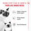 ROYAL CANIN Mother & Babycat Dry Cat Food