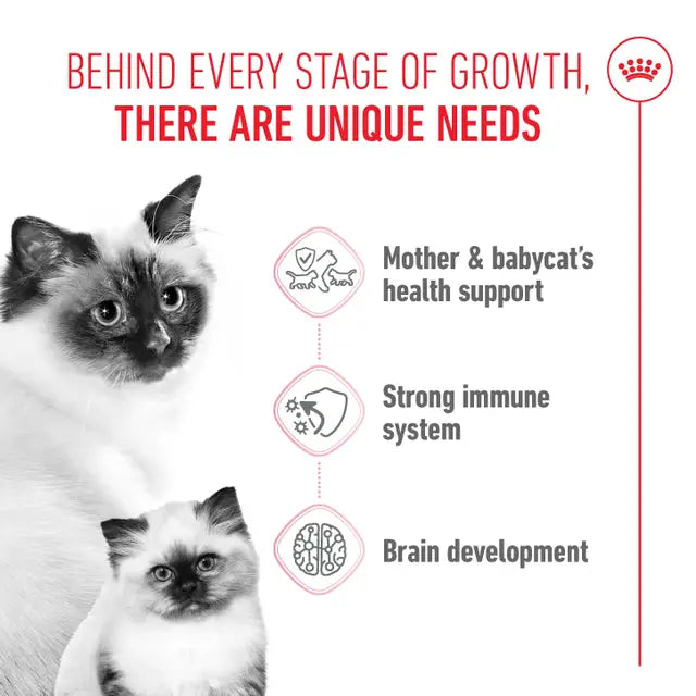 ROYAL CANIN Mother & Babycat Dry Cat Food