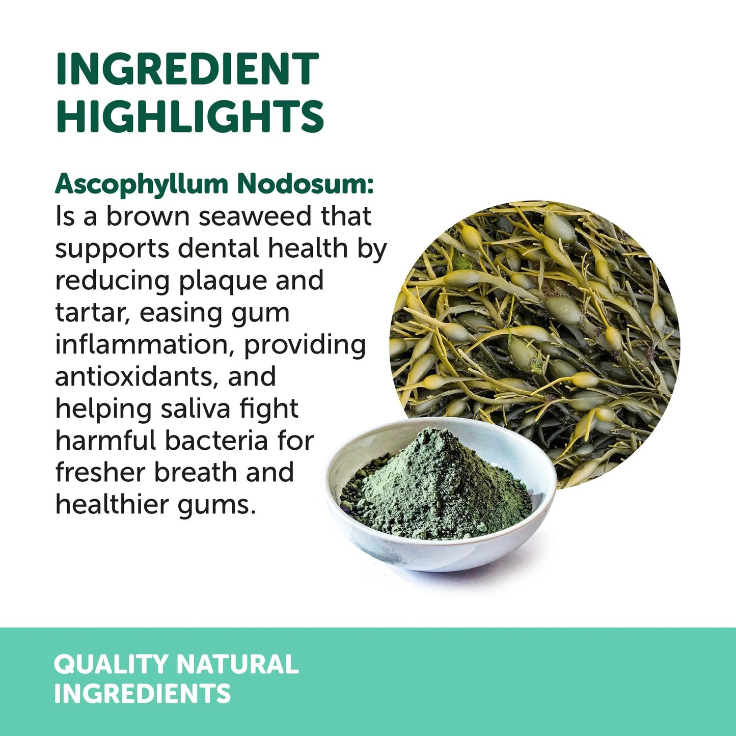 NAS Natural Animal Solutions - Dental Powder