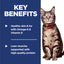 Hill's Science Diet Adult Cat Food Original Chicken Recipe