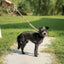 M-Pets ECO Dog Leash & Collar 2 in 1 Medium Size