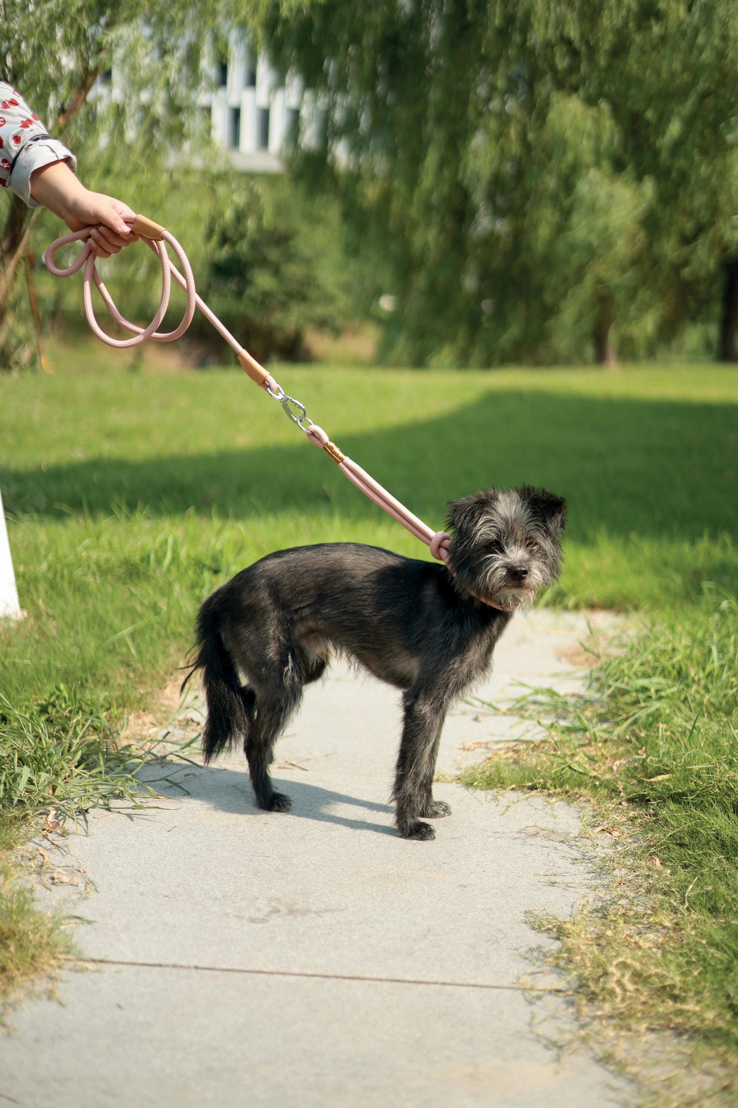 M-Pets ECO Dog Leash & Collar 2 in 1 Medium Size