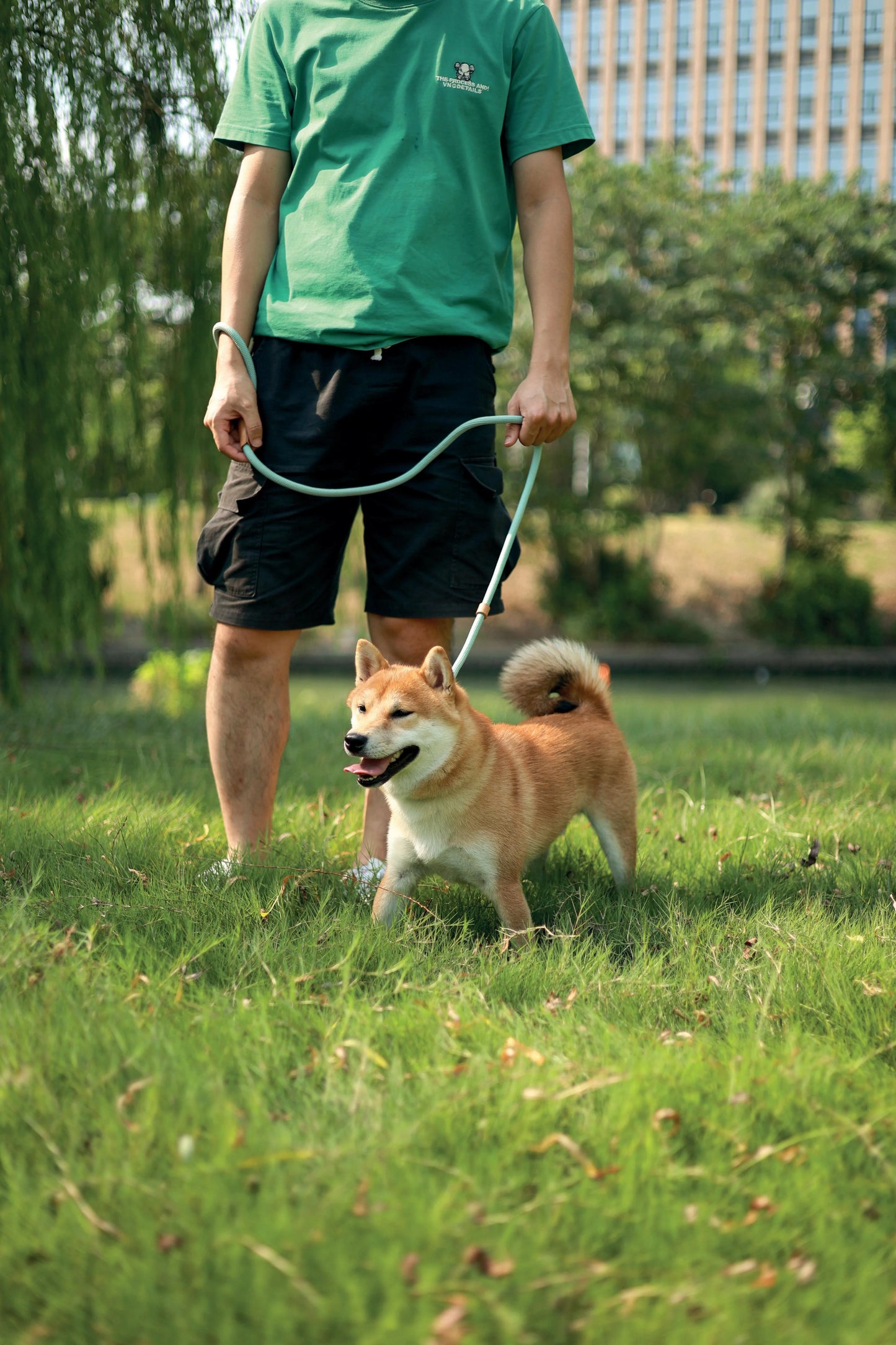 M-Pets ECO Dog Leash & Collar 2 in 1 Medium Size