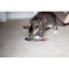 Rosewood Cat Toy Jolly Moggy Catnip Trout