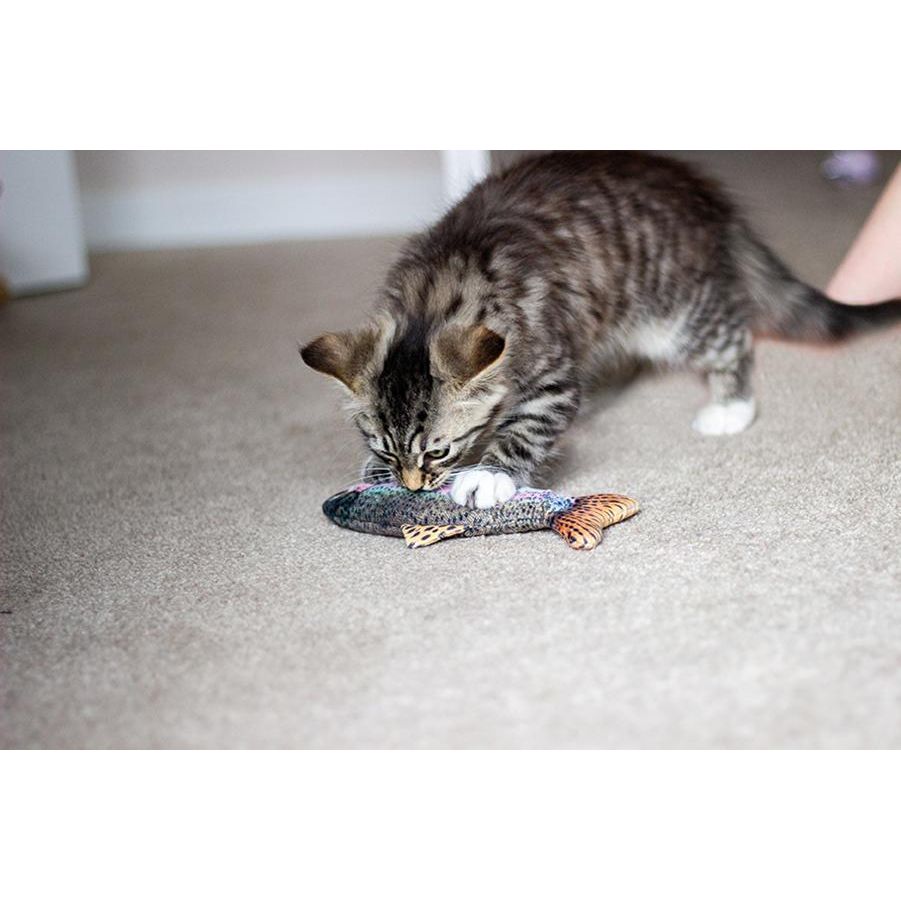 Rosewood Cat Toy Jolly Moggy Catnip Trout