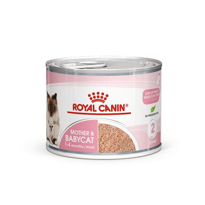 ROYAL CANIN Mother & Babycat Mousse Wet Cat Food 195g x 12